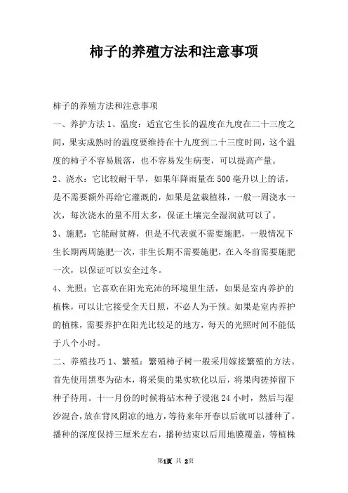 柿子的养殖方法和注意事项