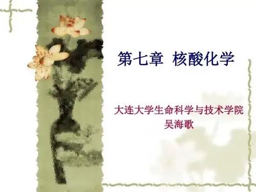 第7章核酸化学-PPT资料109页