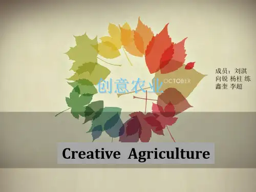 创意农业 ppt课件