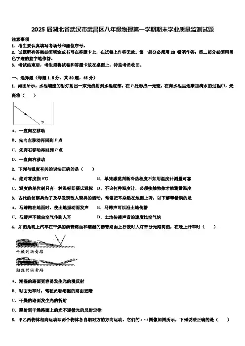 2025届湖北省武汉市武昌区八年级物理第一学期期末学业质量监测试题含解析