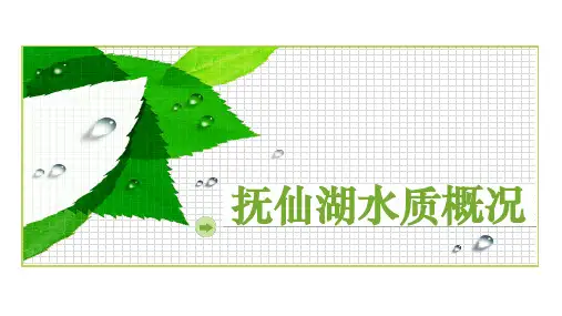 《抚仙湖水质概况》课件