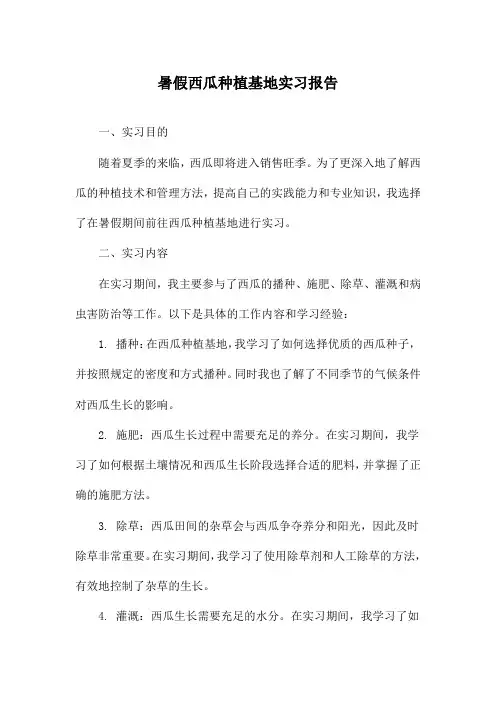 暑假西瓜种植基地实习报告