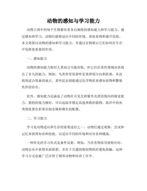 动物的感知与学习能力