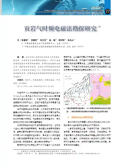 页岩气时频电磁法勘探研究