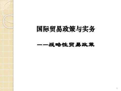 战略性贸易政策ppt课件
