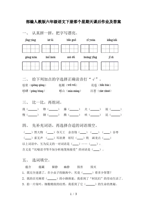 部编人教版六年级语文下册那个星期天课后作业及答案