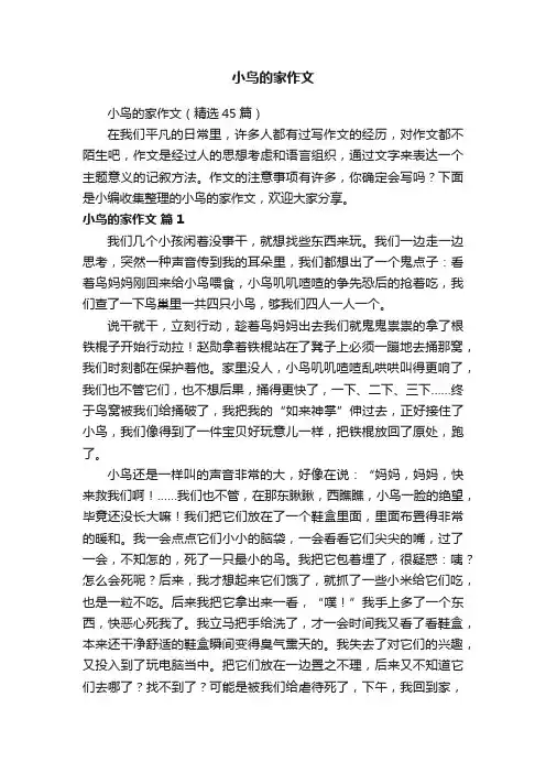 小鸟的家作文（精选45篇）