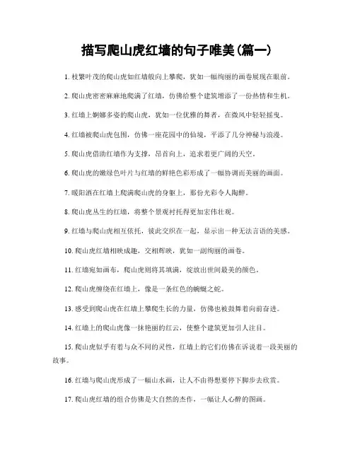描写爬山虎红墙的句子唯美(精选2篇)