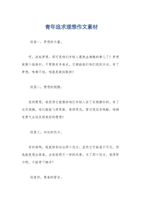 青年追求理想作文素材