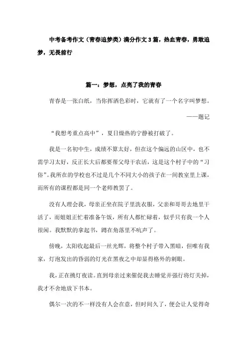 追逐梦想作文九年级