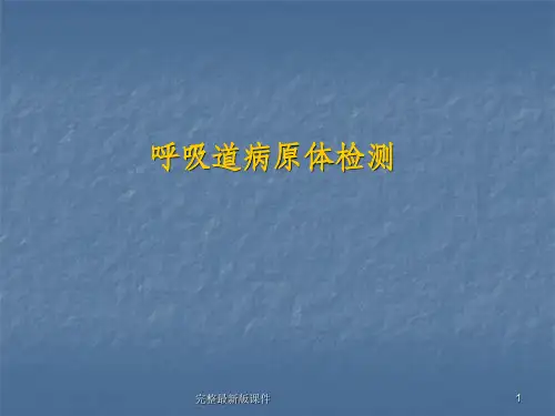 呼吸道病原体检测ppt课件