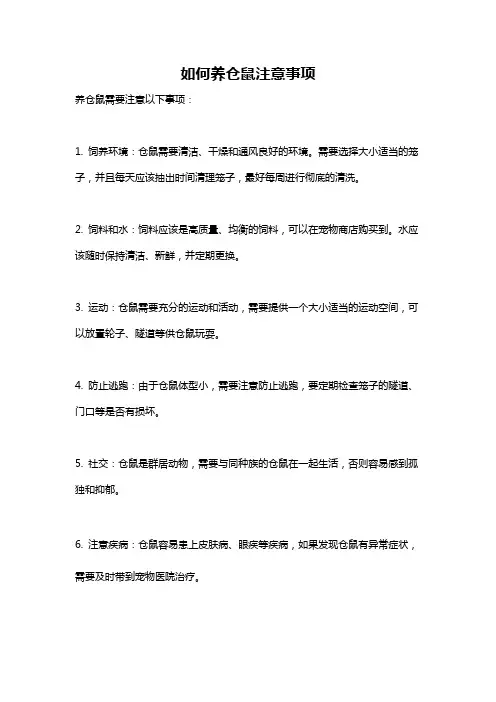 如何养仓鼠注意事项