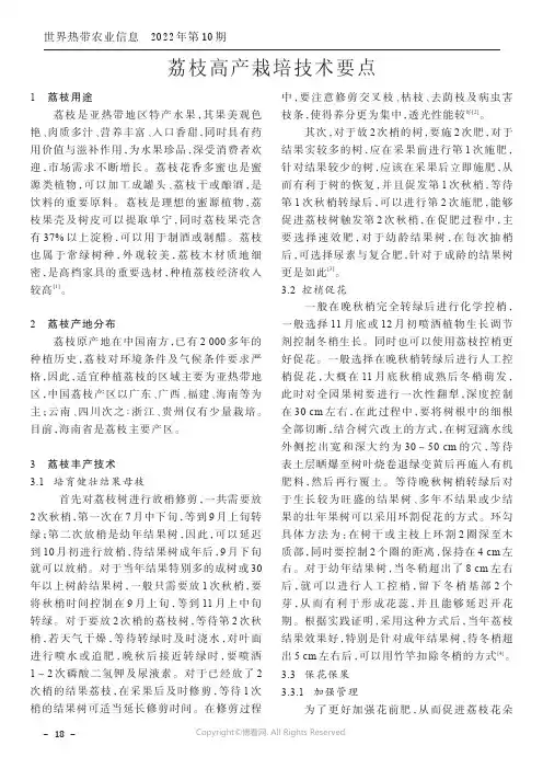 荔枝高产栽培技术要点