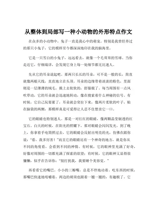 从整体到局部写一种小动物的外形特点作文