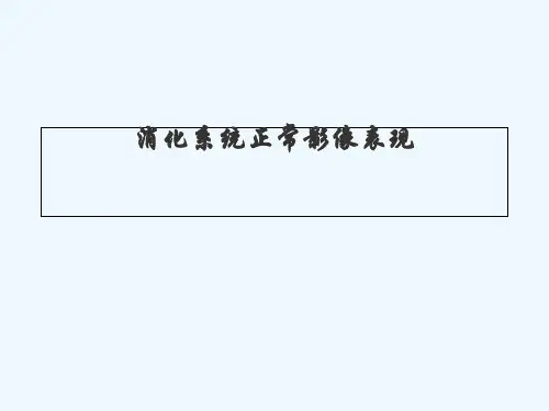 消化系统正常影像表现