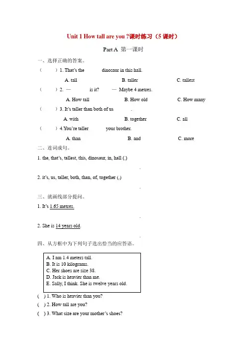 pep人教版六年级下册英语Unit 1 How tall are you课时练习课课练随堂练习含答案(5课时)