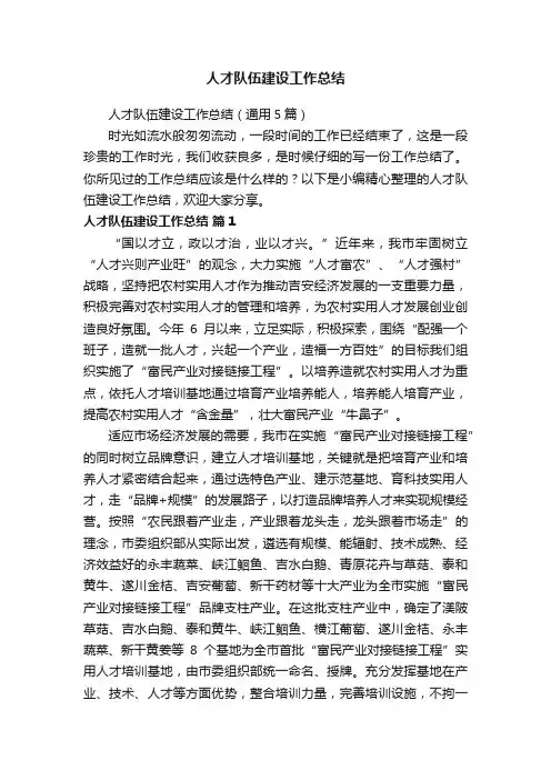 人才队伍建设工作总结