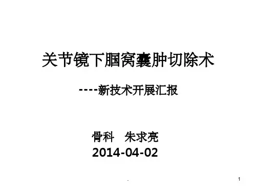 关节镜下腘窝囊肿PPT课件