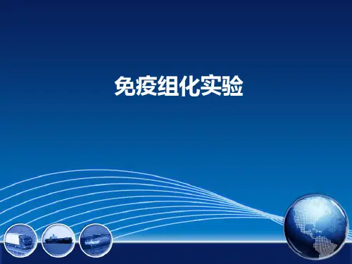 免疫组化