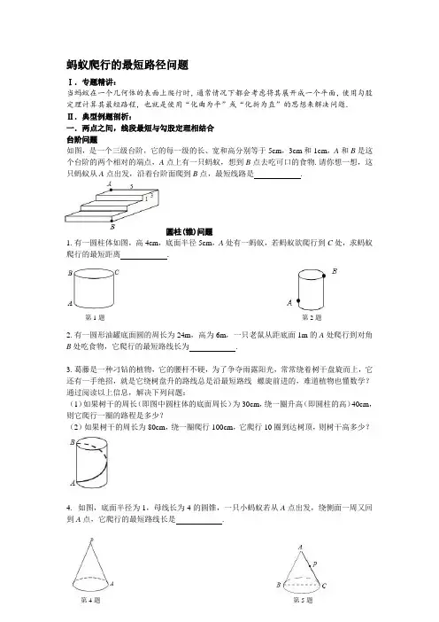 蚂蚁爬行的最短路径问题