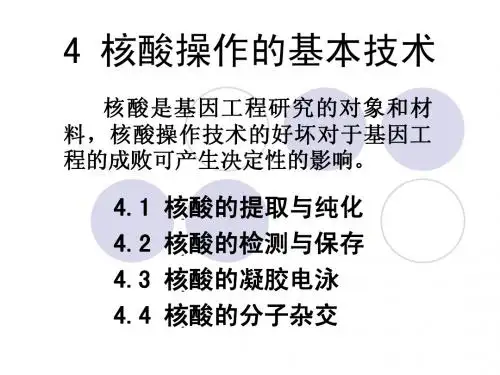 4 核酸操作的技术