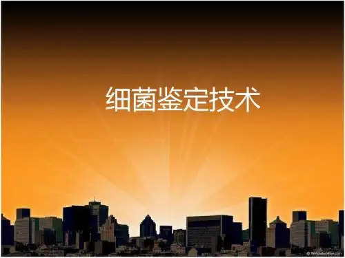 试验考试复习内容细菌鉴定技术1