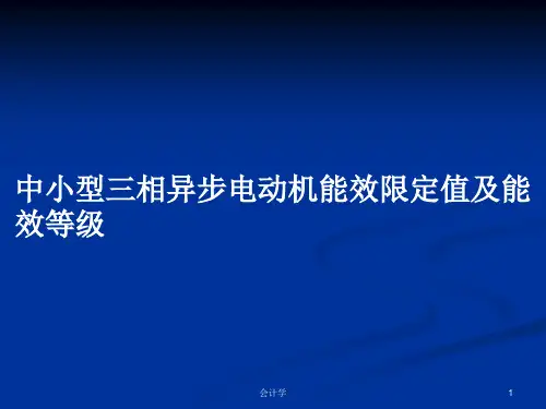 中小型三相异步电动机能效限定值及能效等级PPT学习教案