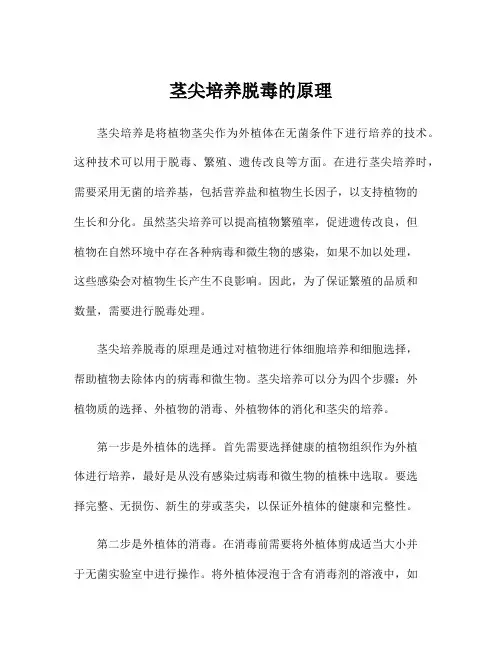 茎尖培养脱毒的原理