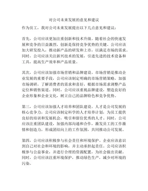 对公司未来发展的意见和建议