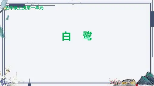 1 白鹭课件(共43张PPT)(2024年)