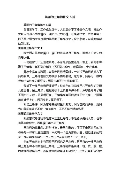 美丽的三角梅作文6篇