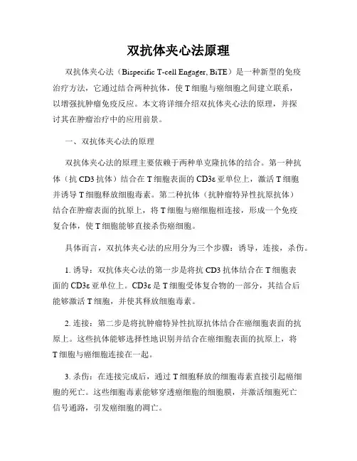 双抗体夹心法原理