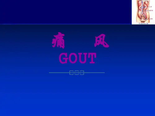 痛风 (1)
