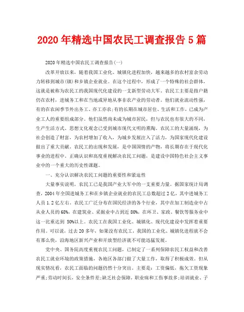 2020年精选中国农民工调查报告5篇