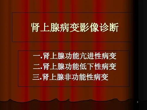 【肾上腺】