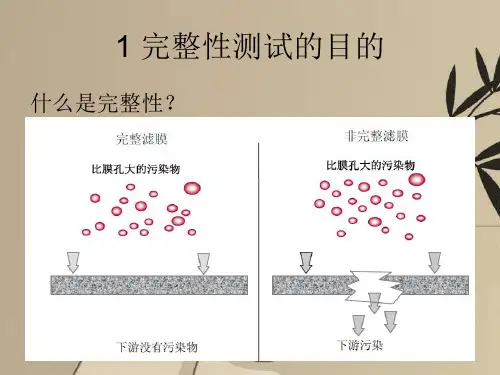 完整性测试简介