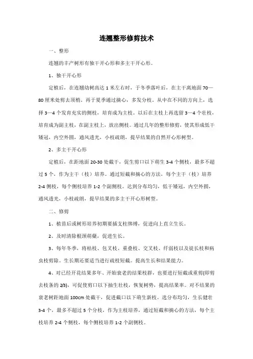 连翘整形修剪技术