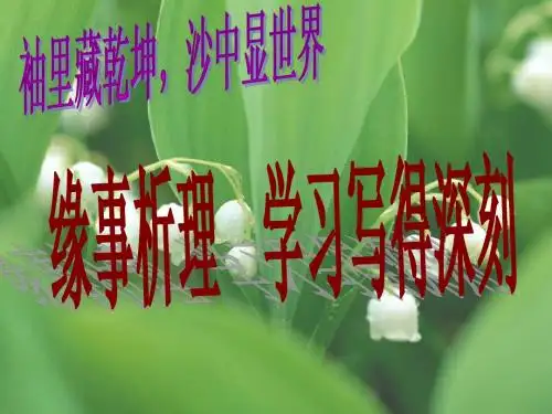 缘事析理上课课件