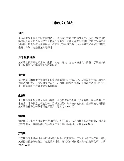 玉米收成时间表