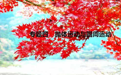 高中物理专题四抛体运动与圆周运动课件高中全册物理课件