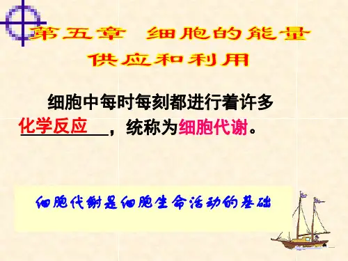 人教版高中生物必修一-第五章-第一节--降低化学反应活化能的酶课件