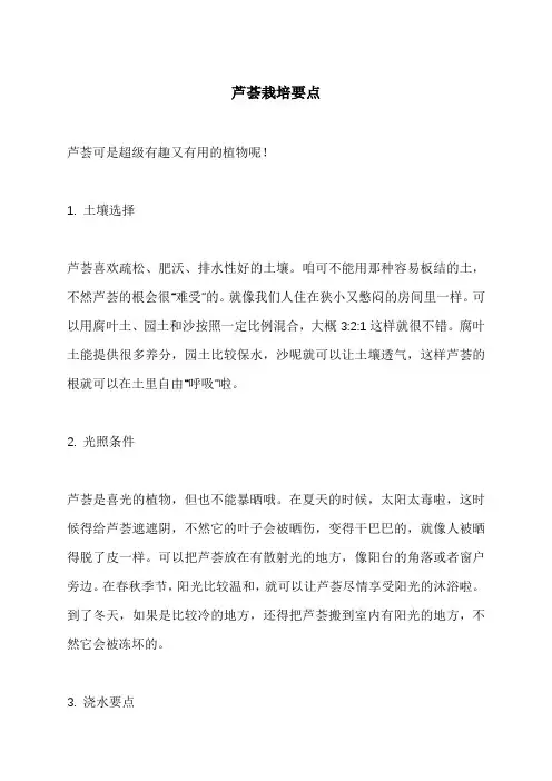 芦荟栽培要点