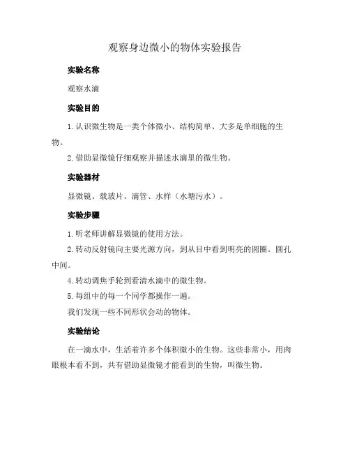 观察身边微小的物体实验报告