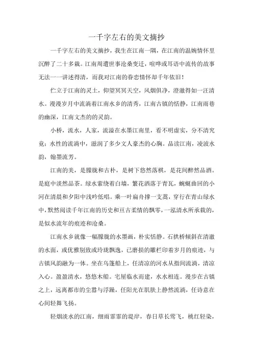 一千字左右的美文摘抄