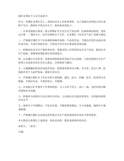 煤矿皮带队个人安全承诺书