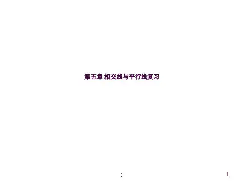 新人教版七年级下册数学期中复习ppt课件