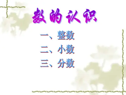 苏教版六年级数学下总复习《数的认识》
