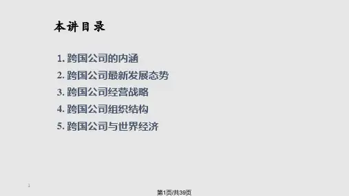 第4讲跨国公司PPT课件