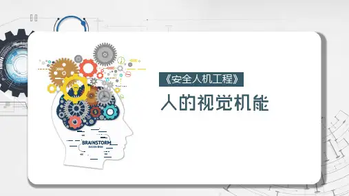 安全人机工程学课件：人的视觉机能