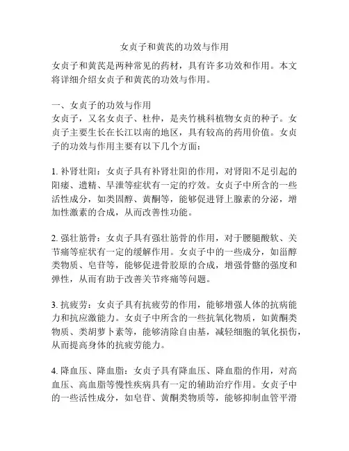 女贞子和黄芪的功效与作用
